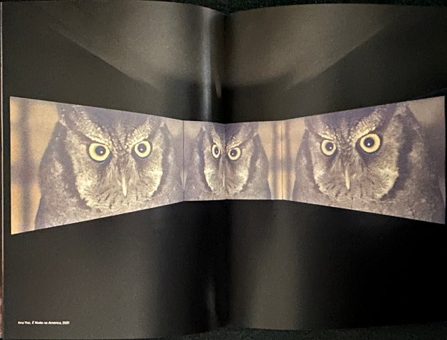 Penumbra    Fondazione In Between Art Film