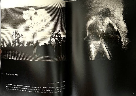 Bill Viola Hatsu-Yume  First Dream ビル・ヴィオラ はつゆめ