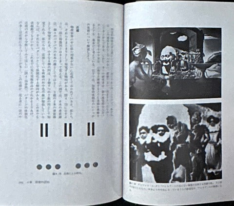 脳は絵をどのように理解するか 絵画の認知科学