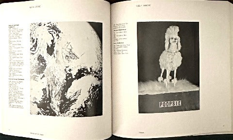 CORRESPONDENCES コレスポンデンセス ニューヨーク・アート・ナウ展