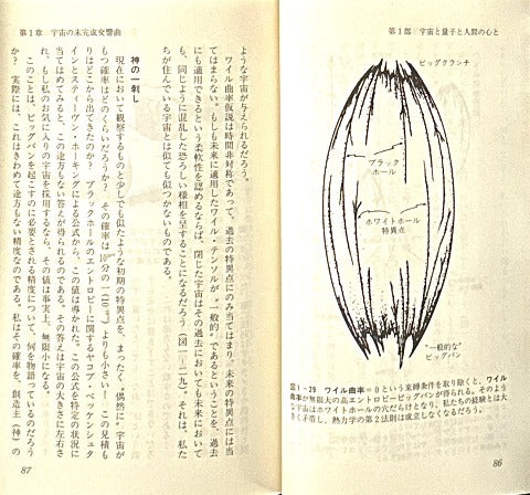 心は量子で語れるか ― 21世紀物理の進むべき道をさぐる