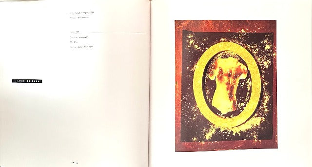 The Photography of Invention American Pictures of 1980s