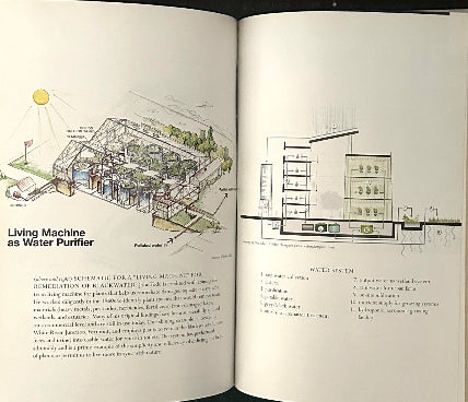 The Vertical Farm: Feeding the World in the 21st Century