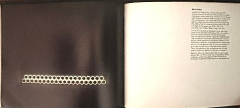 Dan Flavin: drawings, diagrams and prints 1972-1975 / Dan Flavin: installations in fluorescent light 1972-1975