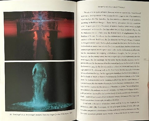 THE ART OF BILL VIOLA