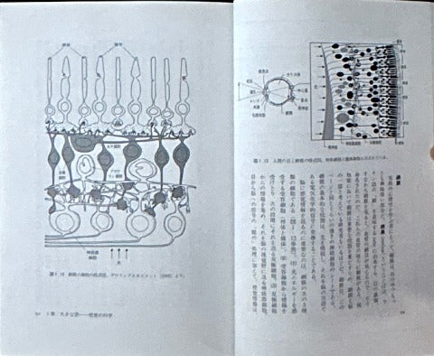 脳は絵をどのように理解するか　絵画の認知科学