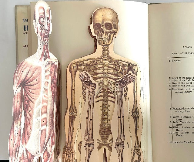 The Fold-Out Atlas of the Human Body (A Three Dimensional Book)