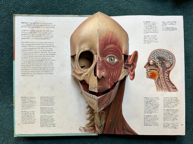 The Human Body: With Three-Dimensional, Movable Illustrations Showing the Workings of the Human Body