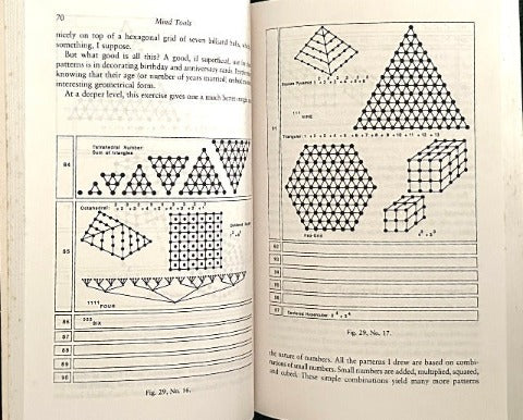 MIND TOOLS  The Five Levels of Mathematical Reality