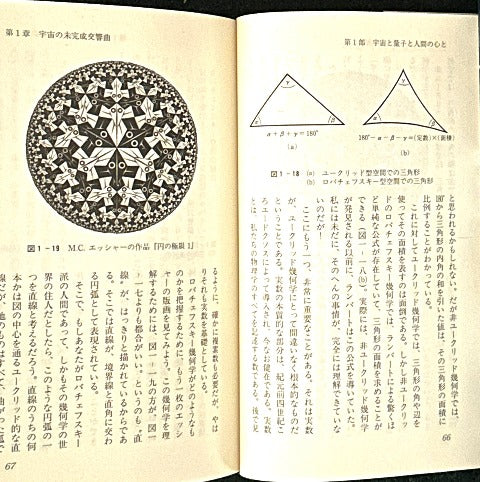 心は量子で語れるか ― 21世紀物理の進むべき道をさぐる