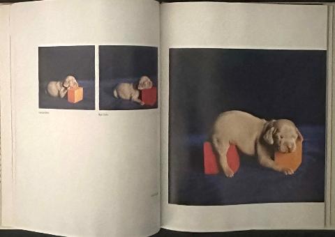 William Wegman Puppies